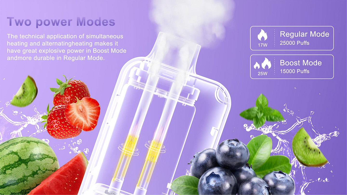 REESMAI Vape Dual Heating Modes, Fruit - inspired Flavors